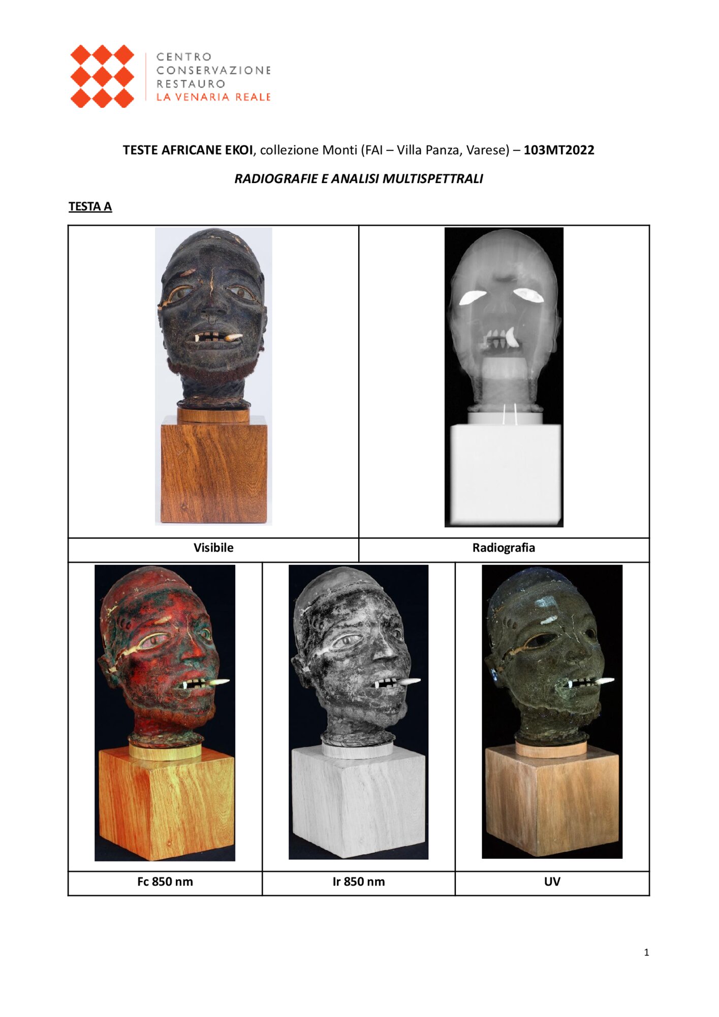 Radiografia e indagini multispettrali