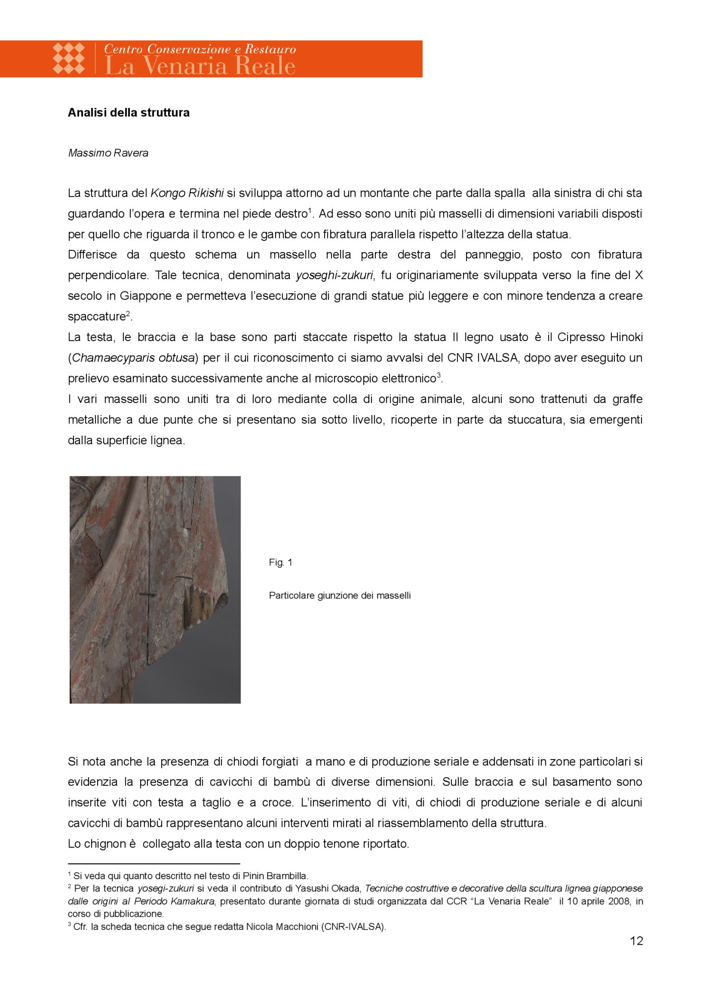 Scheda di restauro Massimo Ravera