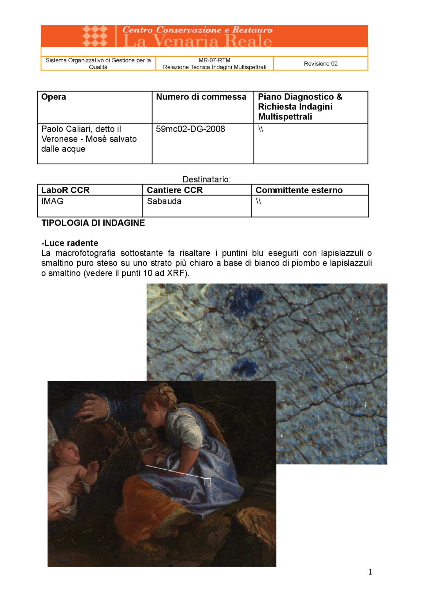 59mc02-DG-2008_Torino, Galleria Sabauda, P. Caliari (Veronese), Mosè salvato dalle acque, inv. 458