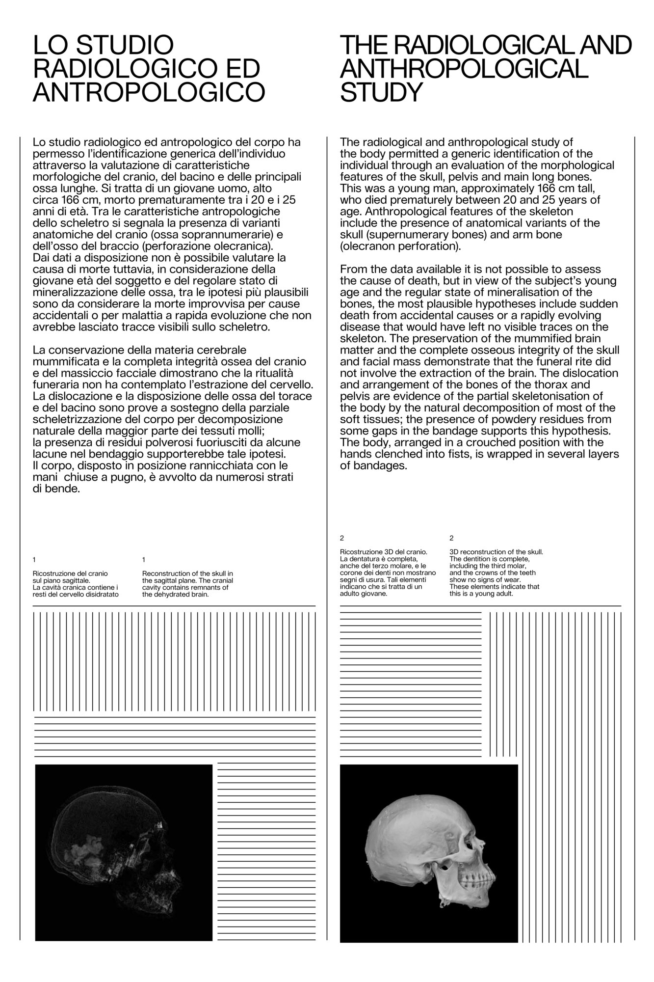 Pannello mostra studio radiologico