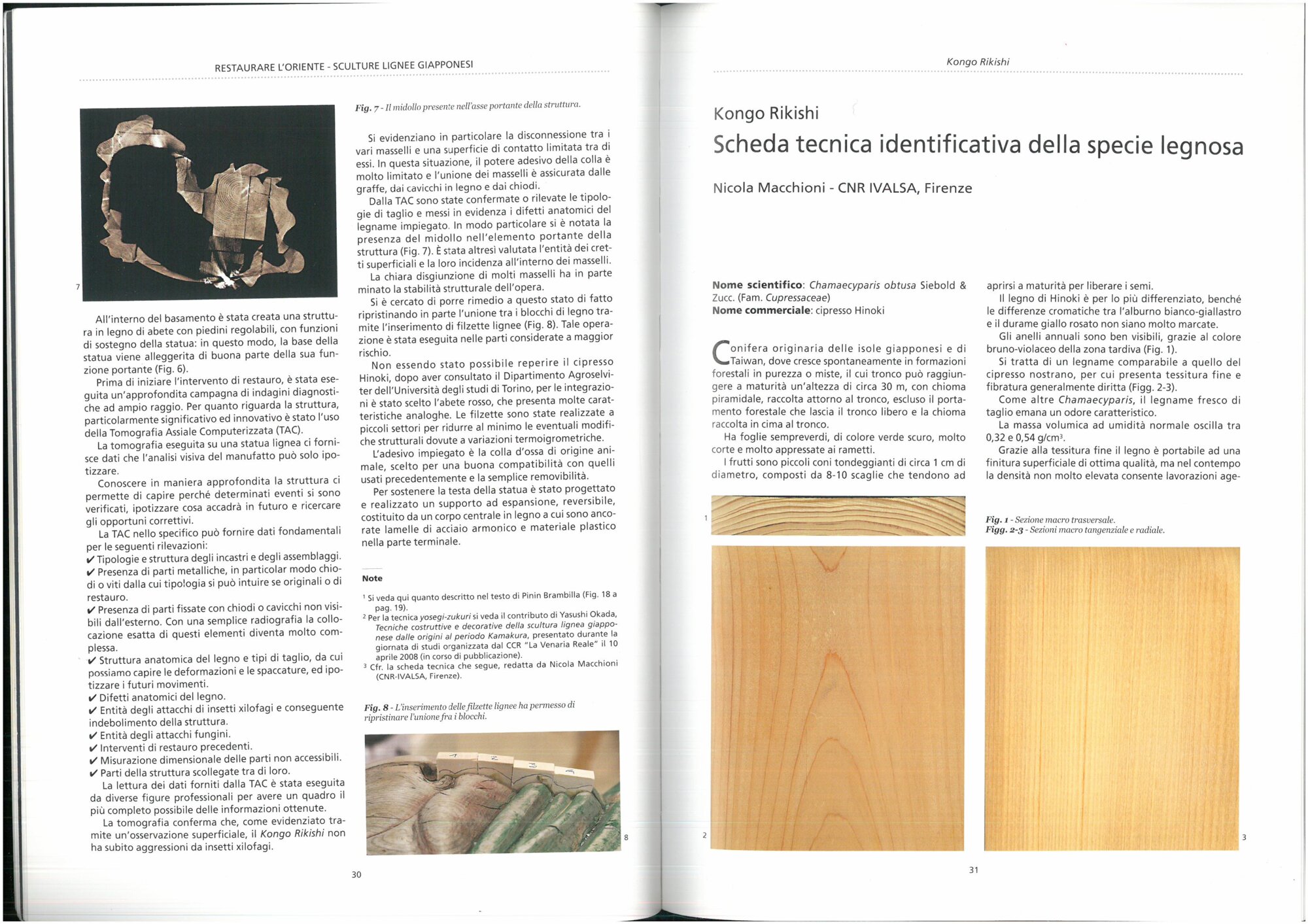 N. Macchioni, Kongo Rikischi. Scheda tecnica identificativa della specie legnosa in Restaurare l'oriente. Sculture lignee giapponesi per il MAO di Torino, a cura di Pinin Brambilla Barcilon, Emilio Mello, Firenze, Nardini, 2008, pp. 31-32.