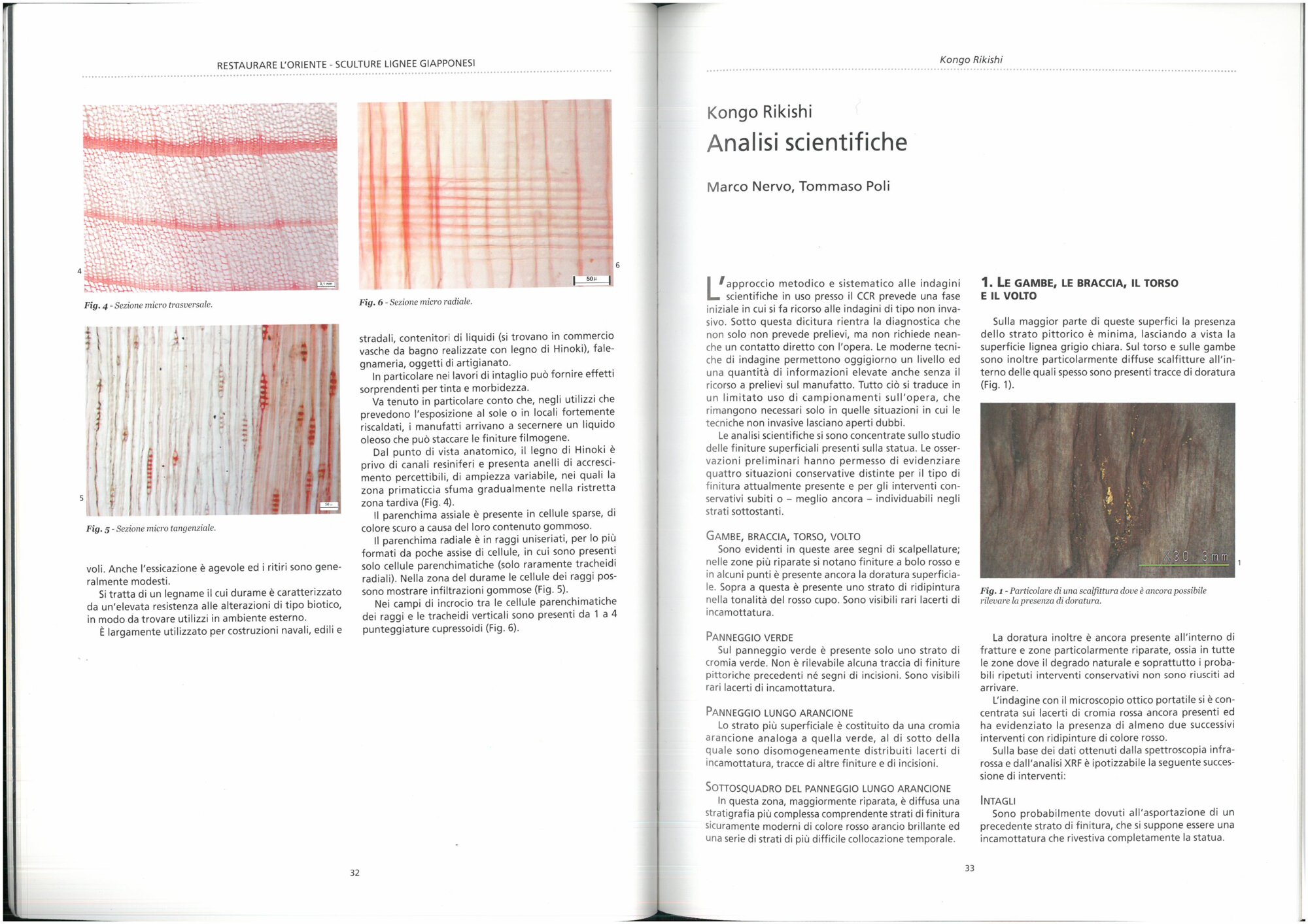  M. Nervo, T. Poli, Kongo Rikischi. Analisi scientifiche in Restaurare l'oriente. Sculture lignee giapponesi per il MAO di Torino, a cura di Pinin Brambilla Barcilon, Emilio Mello, Firenze, Nardini, 2008, pp. 33-37.