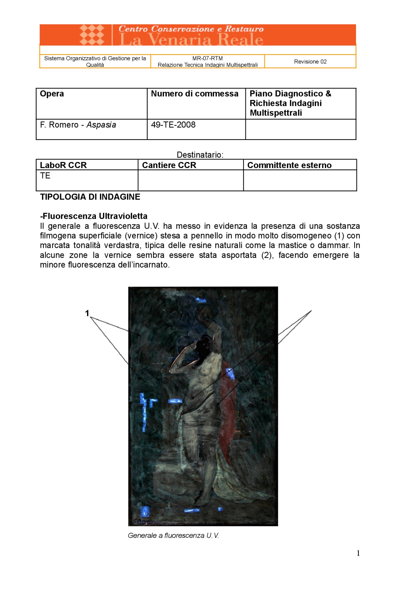 Relazione tecnica indagini multispettrali