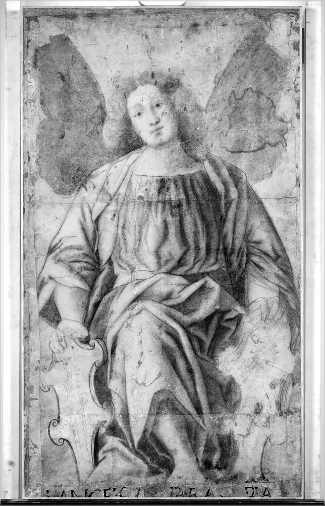 Torino, Pinacoteca Accademia Albertina, G. Ferrari, Arcangelo, inv. 337 - infrarosso IR (950 nm)