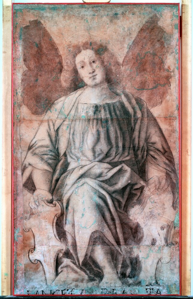 Torino, Pinacoteca Accademia Albertina, G. Ferrari, Arcangelo, inv. 337 - infrarosso in falso colore (950 nm)