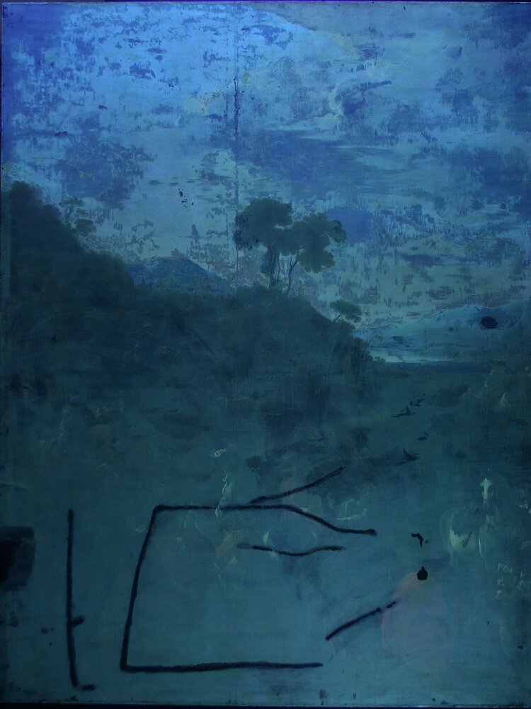 Venaria Reale, Royal Palace of Venaria, J. Miel, Hunting deer, inv. D 743 300 - UV analysis