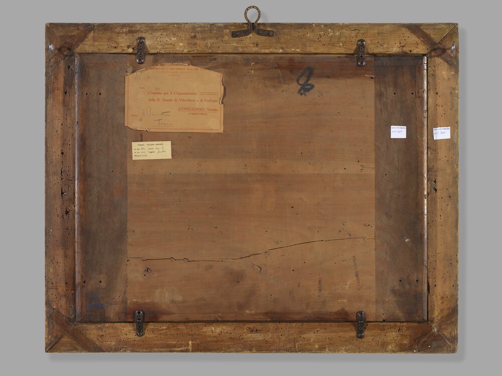 Galleria Sabauda, J. Van Hulsdonck, Fruit basket inv. 507 verso - before restoration