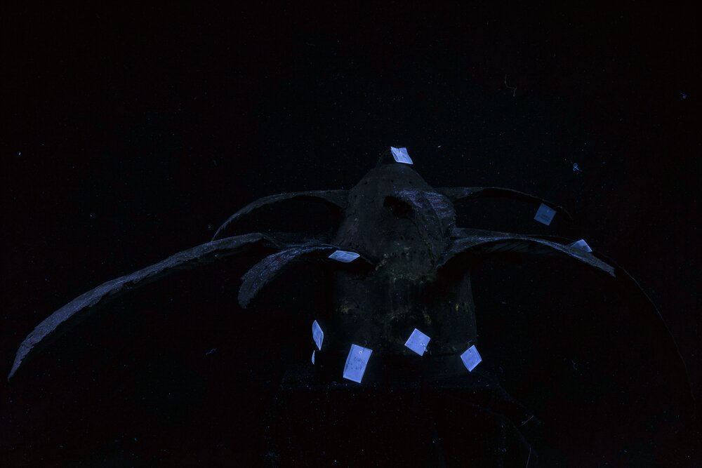 Milan, Veneranda Biblioteca Ambrosiana, H. Olivieri, sculpture-fountain 