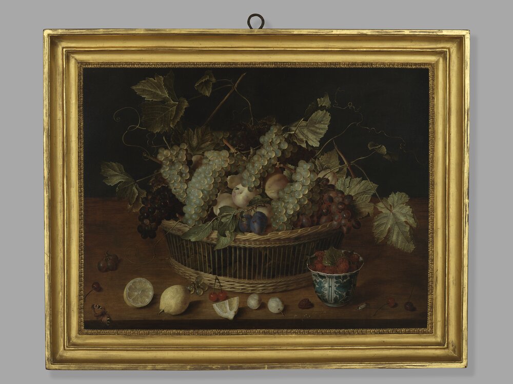 Galleria Sabauda, J. Van Hulsdonck, Fruit basket inv. 507 - after restoration