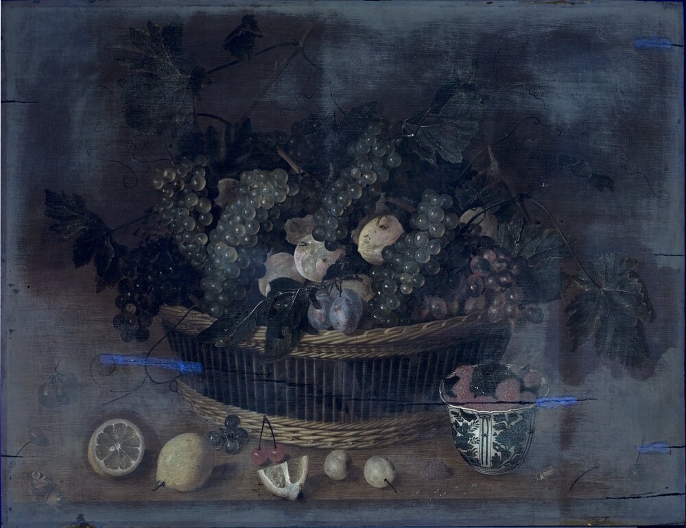 Galleria Sabauda, J. Van Hulsdonck, Fruit basket inv. 507 - UV analysis