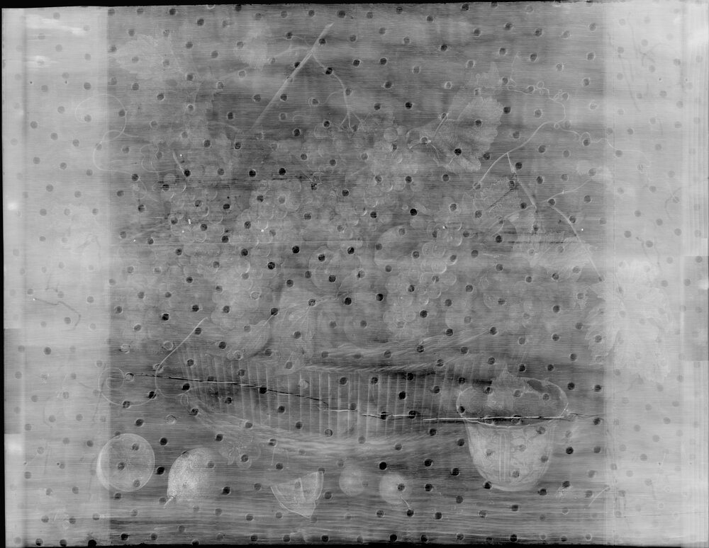 Galleria Sabauda, J. Van Hulsdonck, Fruit basket inv. 507 - RX analysis