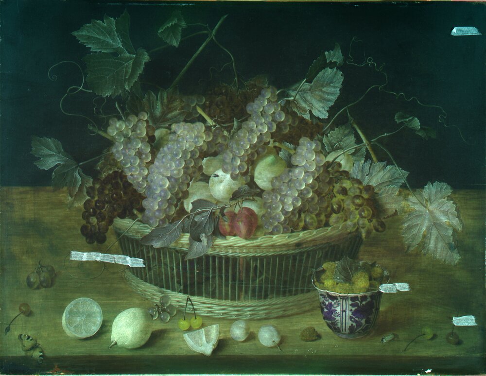 Galleria Sabauda, J. Van Hulsdonck, Fruit basket inv. 507 - false color analysis