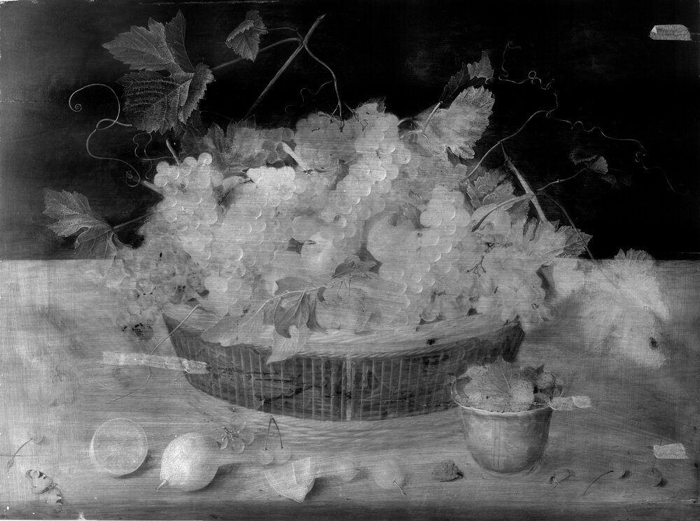 Galleria Sabauda, J. Van Hulsdonck, Fruit basket inv. 507 - infrared analysis