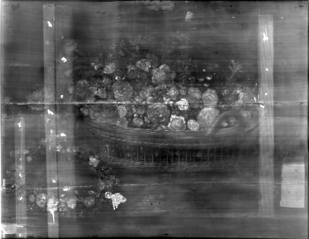 Moncalieri, Castello, Natura morta con canestra di fiori, inv. 364 - radiografia digitale RX