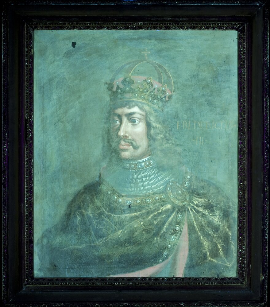 Venaria, Reggia, Portrait of Frederick III, inv. 5487 - UV analysis