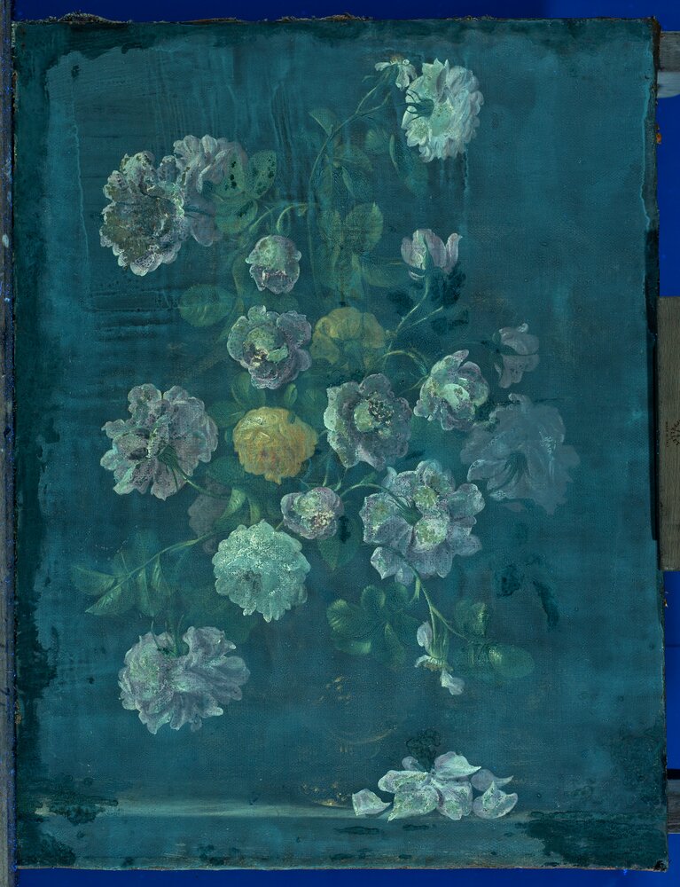 Moncalieri, Castle, Still life vase with flowers, inv. 117 - UV analysis