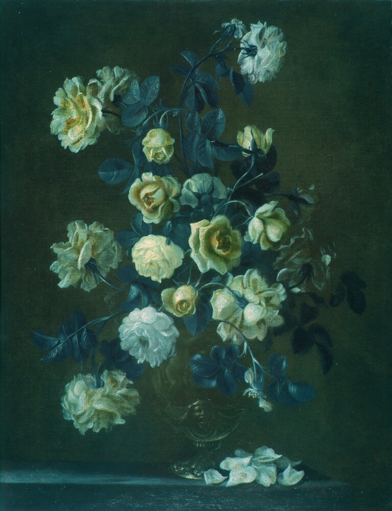 Moncalieri, Castle, Still life vase with flowers, inv. 117 - Infrared in false color (950 nm