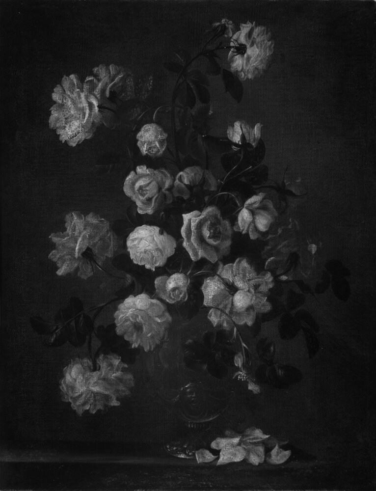 Moncalieri, Castle, Still life vase with flowers, inv. 117 - infrared IR (950 nm)
