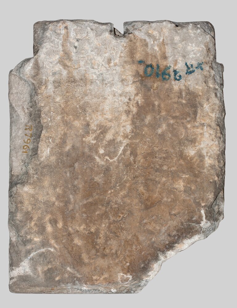 Venaria, Reggia, Stemma medievale dei duchi di Savoia, inv. R 7961, verso - prima del restauro