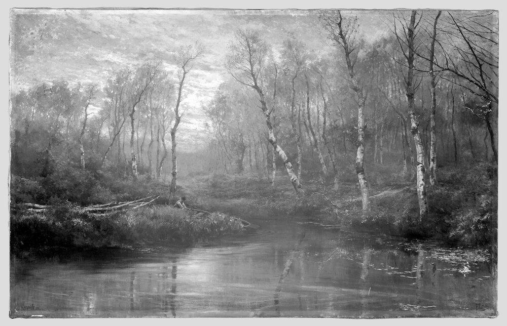 Moncalieri, Castello, F. Petiti, Landscape, inv. 529 S.M. - infrared IR (950 nm)