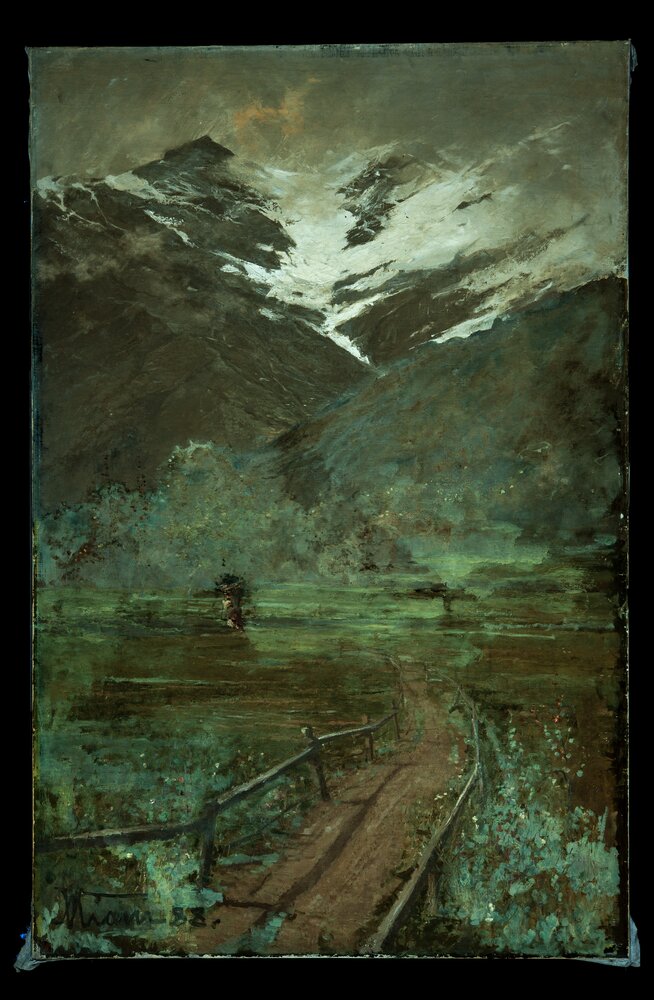 Moncalieri, Castello, M. Viani d'Ovrano, Mountain landscape, inv. 478 S.M - UV analysis