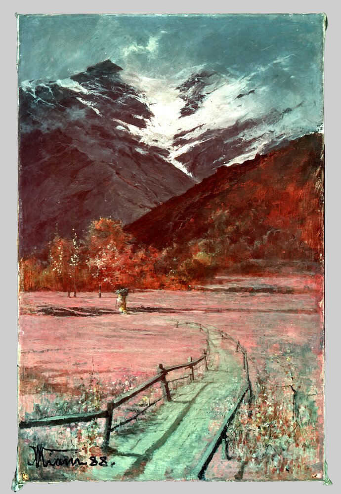 Moncalieri, Castello, M. Viani d'Ovrano, Mountain landscape, inv. 478 S.M - Infrared in false color (950 nm)