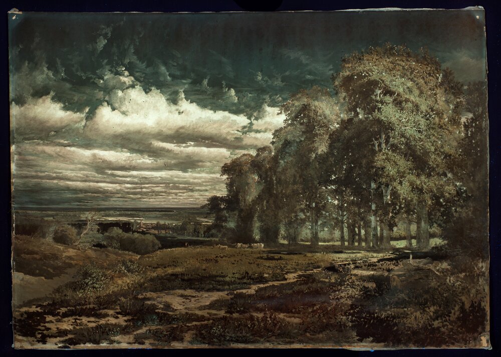 Moncalieri, Castello, P. Sassi, Pianura del Monferrato, inv. SM 235 - analisi UV