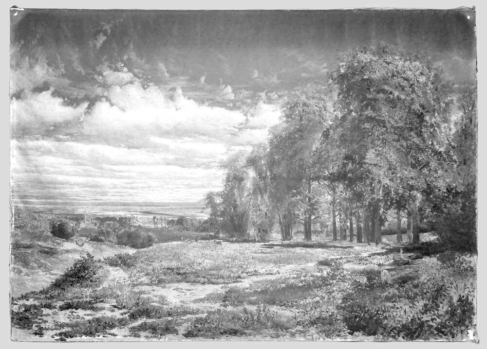 Moncalieri, Castello, P. Sassi, Pianura del Monferrato, inv. SM 235 - infrarosso IR (950 nm)