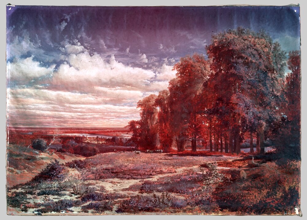 Moncalieri, Castello, P. Sassi, Pianura del Monferrato, inv. SM 235 - infrarosso in falso colore (950 nm)