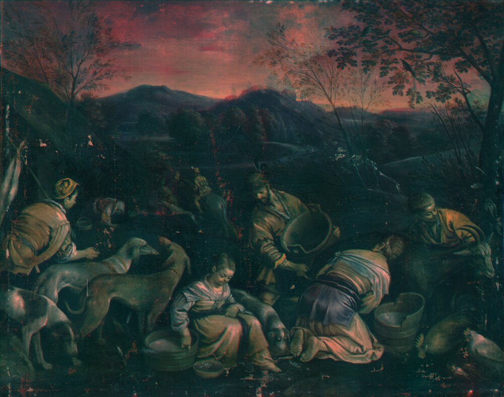 Nichelino, Hunting lodge of Stupinigi, J. da Ponte (Bassano), Country scene, inv. 54 - Infrared in false color