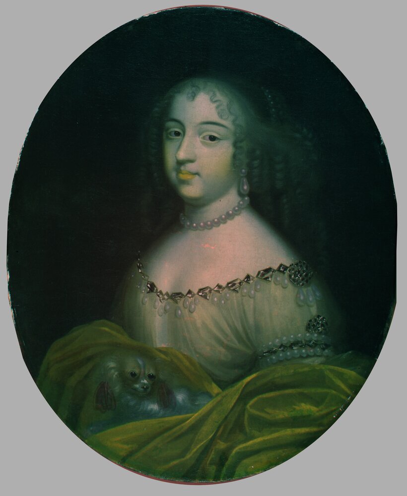 Nichelino, Stupinigi's Hunting Lodge, Portrait of Maria Giovanna Battista di Savoia, inv. 17 - Infrared in false color (950 nm)
