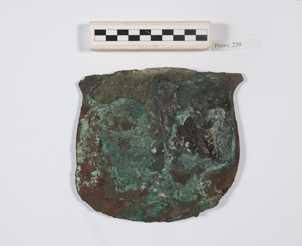 95mc-02-CM-2019_Torino, Museo Egizio, Accetta, provv. 0239