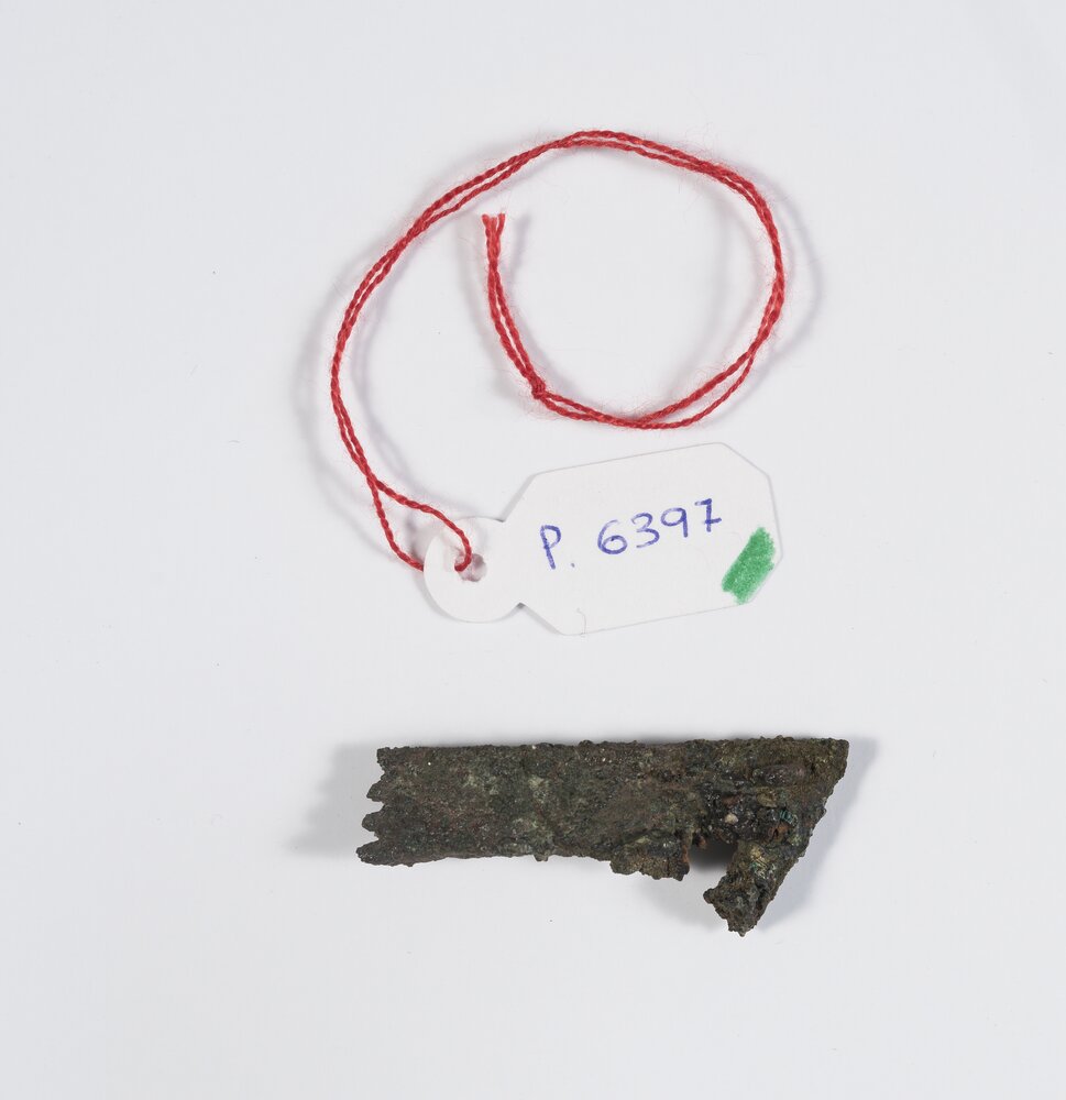 95mc-02-CM-2019_Torino, Museo Egizio, Statua di divinità/flagello, provv. 6397