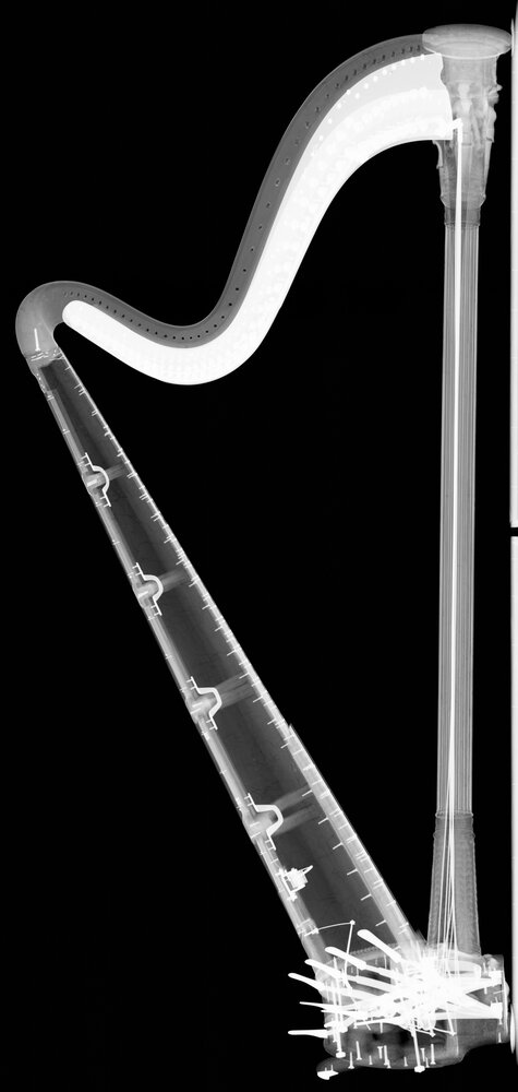 Caravino, Castello di Masino, S. Erard, Harp no. 2828, inv. SBAS TO 1312 - Digital RX