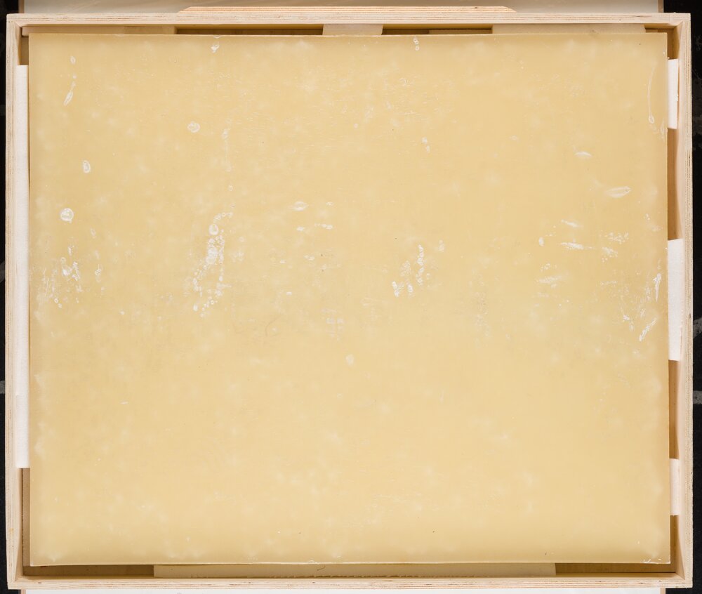 95-AC-2021_Torino, Galleria Civica d'Arte Moderna e Contemporanea, G. Penone, Propagazione, inv. S-468