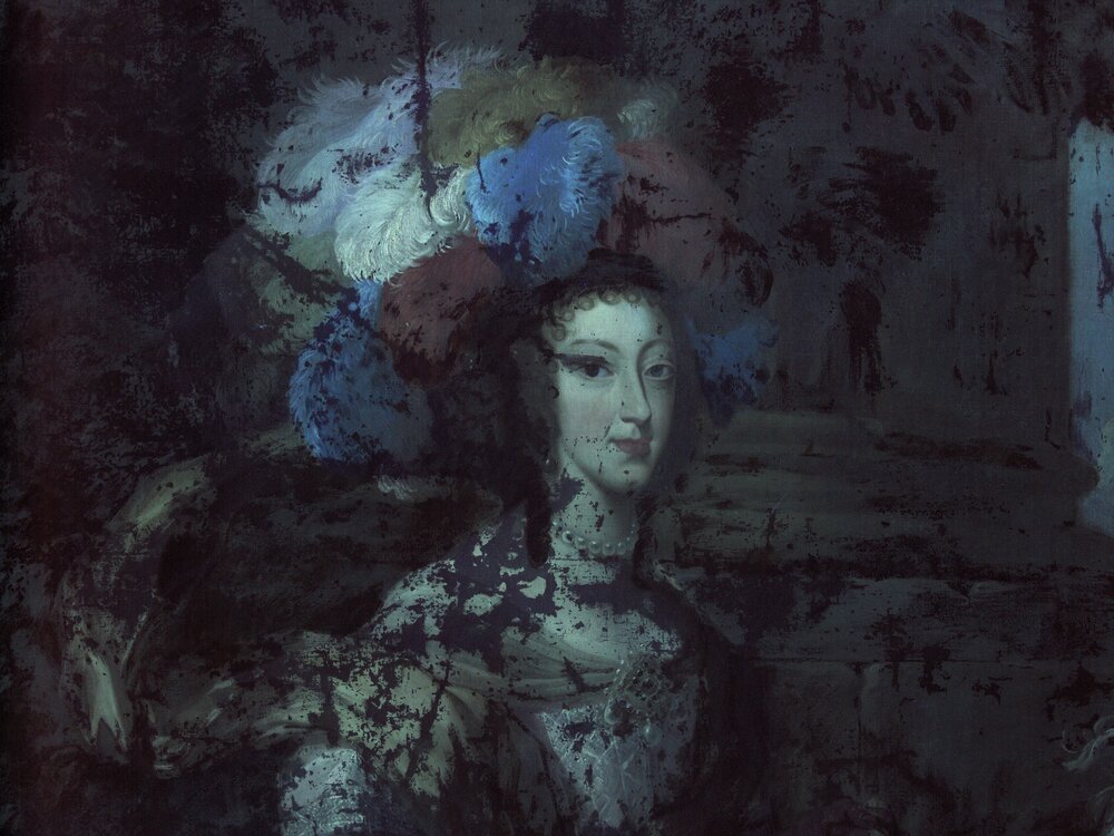 Venaria Reale, Royal Palace of Venaria, J. Miel, Henrietta Adelaide of Savoy and Ferdinand of Bavaria, inv. R 6382 - UV analysis