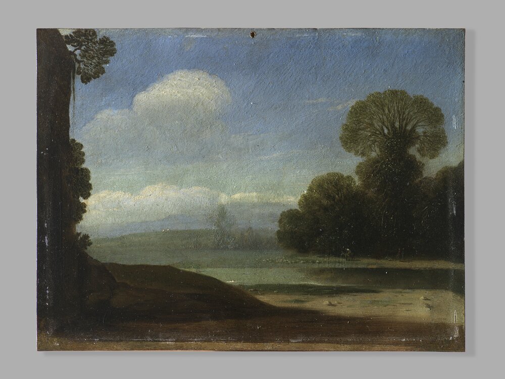 Galleria Sabauda, G. Wals, River landscape inv. 654 cat. 761 bis - before restoration grazing light