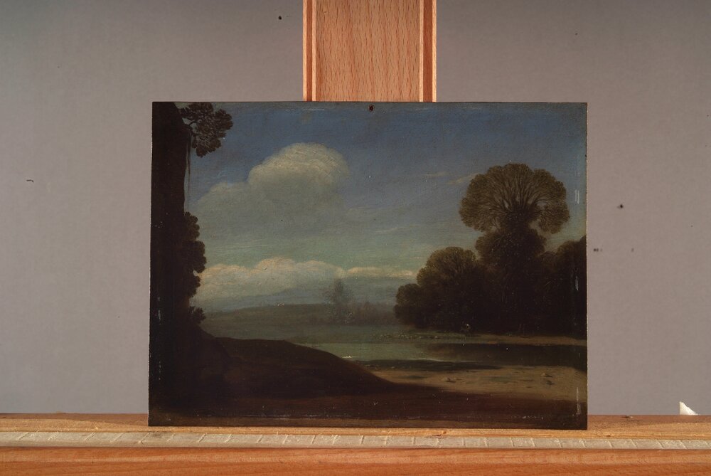 Galleria Sabauda, G. Wals, River landscape inv. 654 cat. 761a - analysis ld