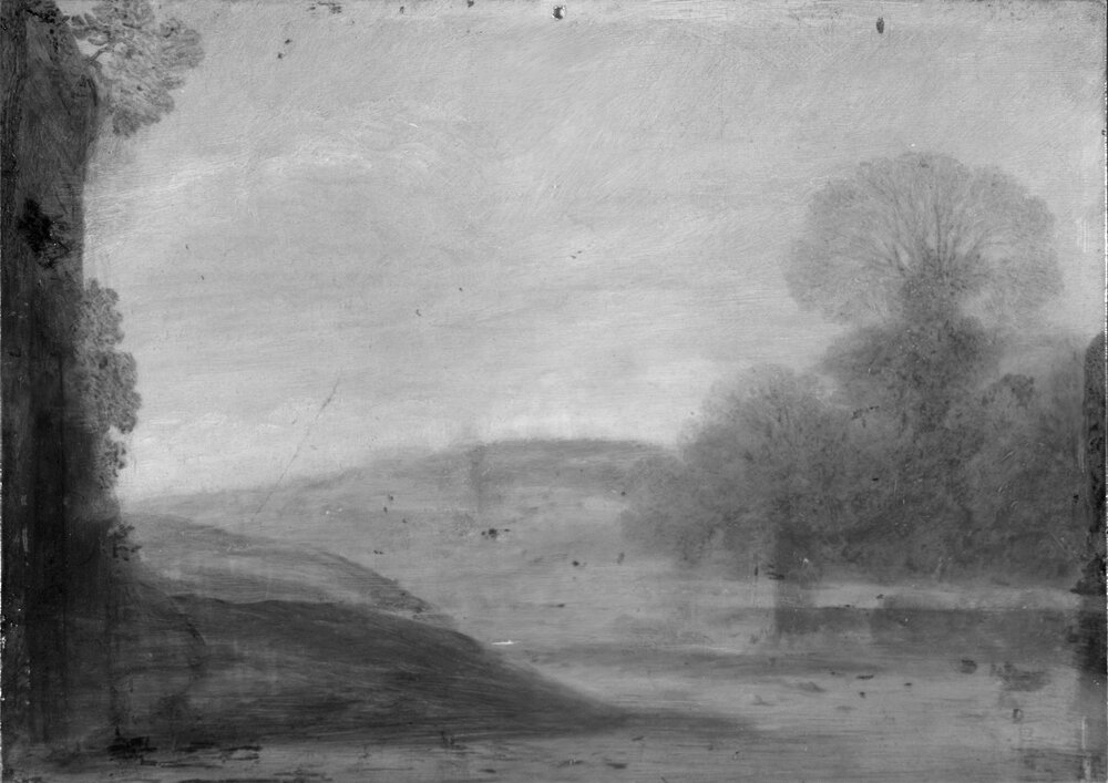 Galleria Sabauda, G. Wals, River landscape inv. 654 cat. 761a - IR analysis 1150 nm