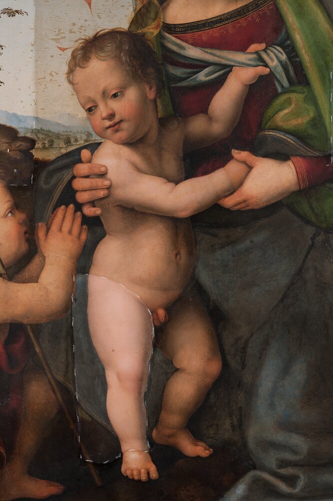 Torino, Galleria Sabauda, G. Bugiardini, Sacra famiglia con san Giovannino, inv. 253 - durante il restauro