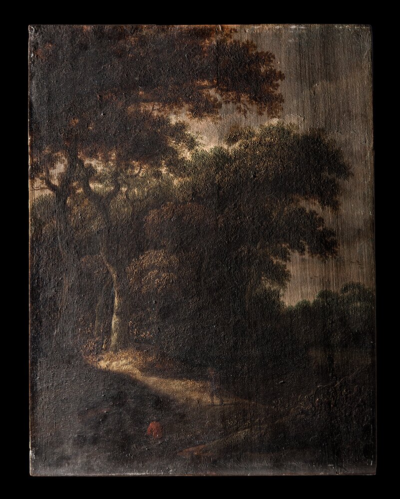 Turin, Galleria Sabauda, R. Van Vries, Landscapes with wayfarers, inv. 524 - before restoration, grazing light