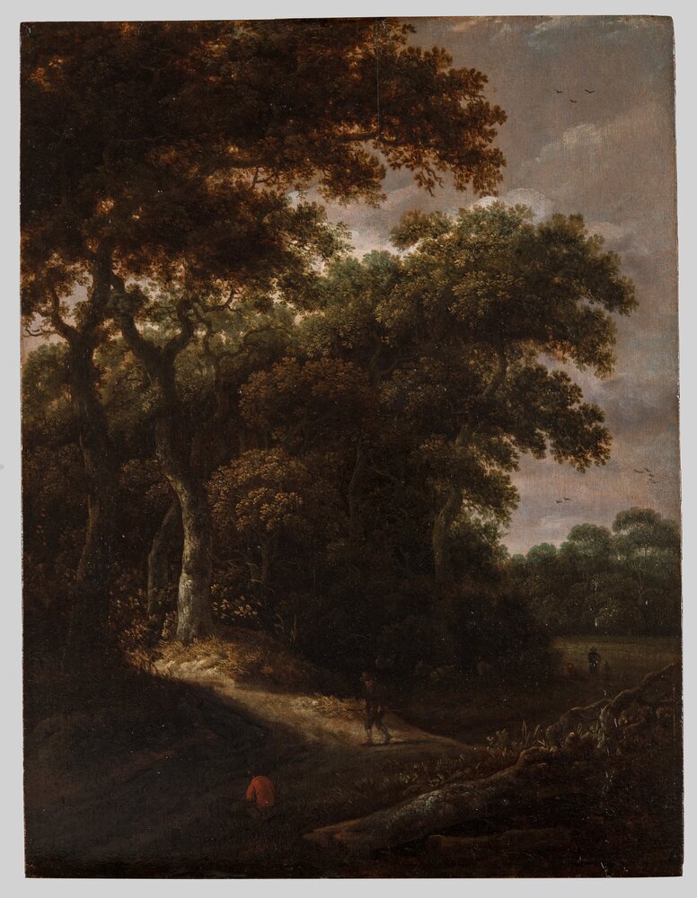 Turin, Galleria Sabauda, R. Van Vries, Landscapes with wayfarers, inv. 524 - after restoration