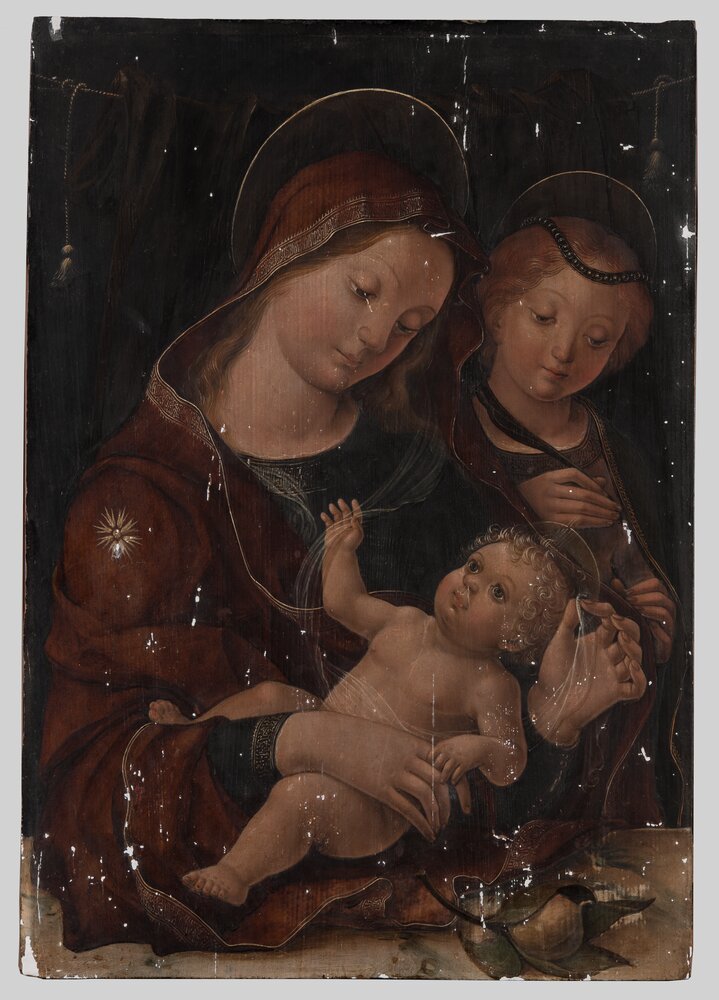 Torino, Galleria Sabauda, L. Da Verona, Madonna con bambino e santa Caterina, inv. 199 - durante il restauro