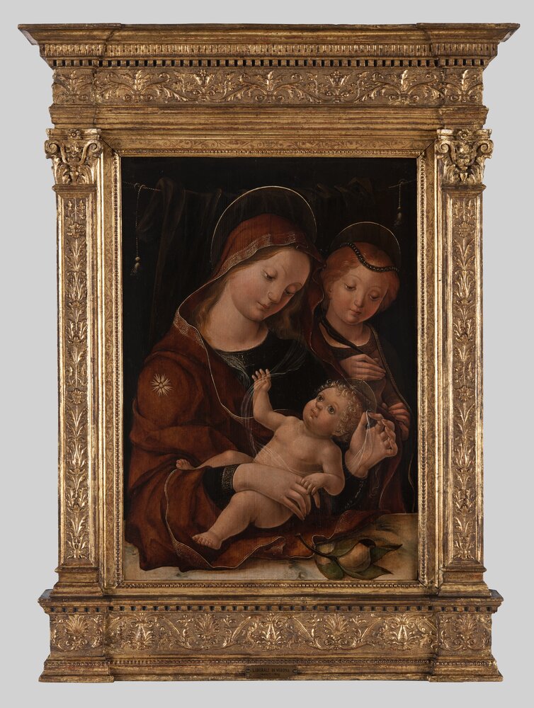 Torino, Galleria Sabauda, L. Da Verona, Madonna con bambino e santa Caterina, inv. 199 - dopo il restauro
