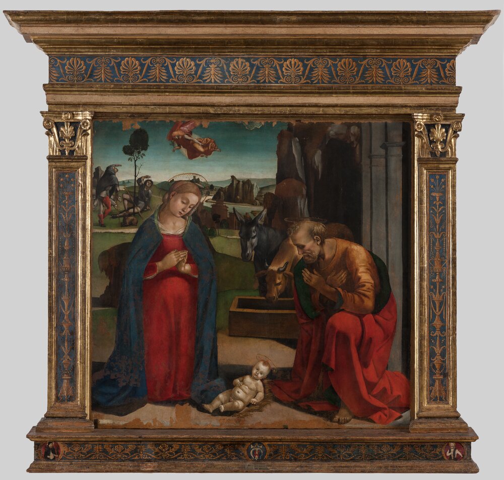 Torino, Galleria Sabauda, L. Signorelli, Natività, inv. 759 - dopo il restauro