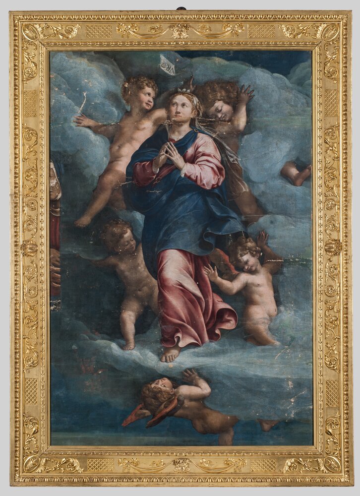 25mc43-TE-2014_Torino, Galleria Sabauda, R. Mantovano, Assunta, inv. 900