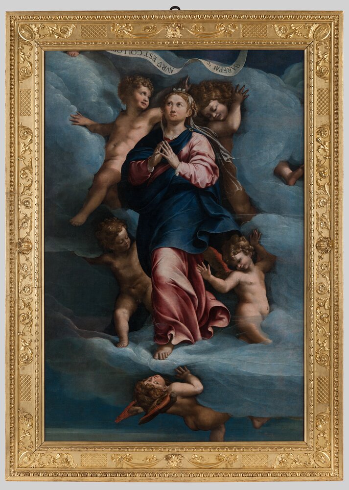 Torino, Galleria Sabauda, R. Mantovano, Assunta, inv. 900 - dopo il restauro