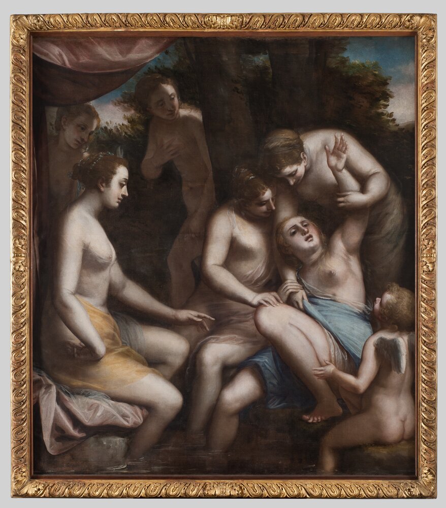 25mc25-TE-2014_Turin, Galleria Sabauda, L. Cambiaso, Diana and Callisto, inv. 365