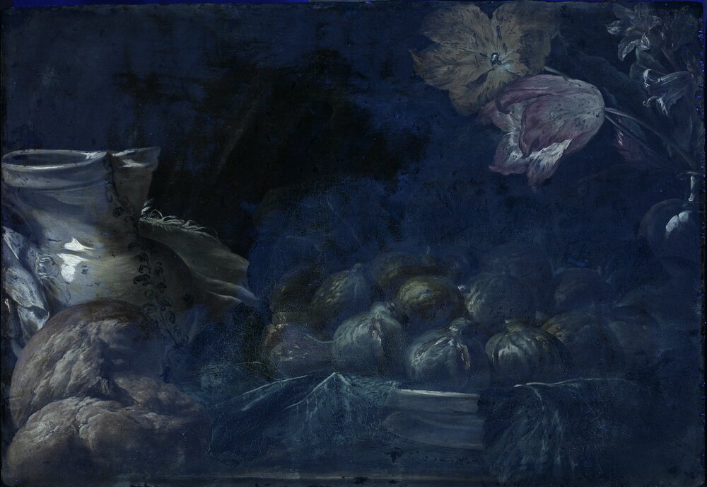 Galleria Sabauda, Still life with figs inv. 673, cat. 285 - UV analysis