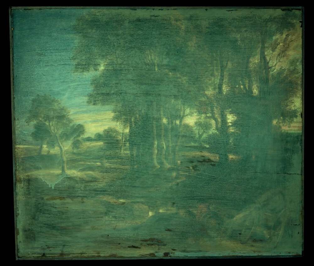 Turin, Galleria Sabauda, P. P. Rubens, The ford, inv. 527 - UV analysis